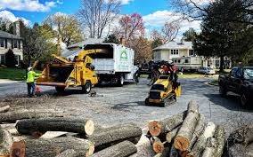 Best Lawn Maintenance Plans  in Ashland, WI