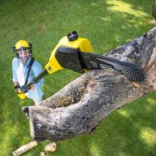 Best Lawn Irrigation Installation and Maintenance  in Ashland, WI
